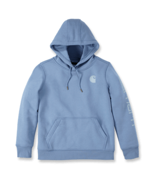 Carhartt Damen Hoodie 
